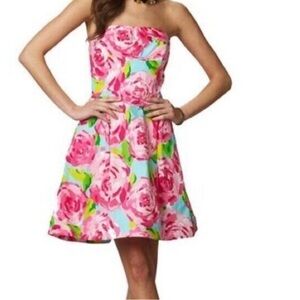 💎HOLY GRAIL🌺Lilly Pulitzer Blossom Dress Small First Impression Sz 2 -LIKE NEW